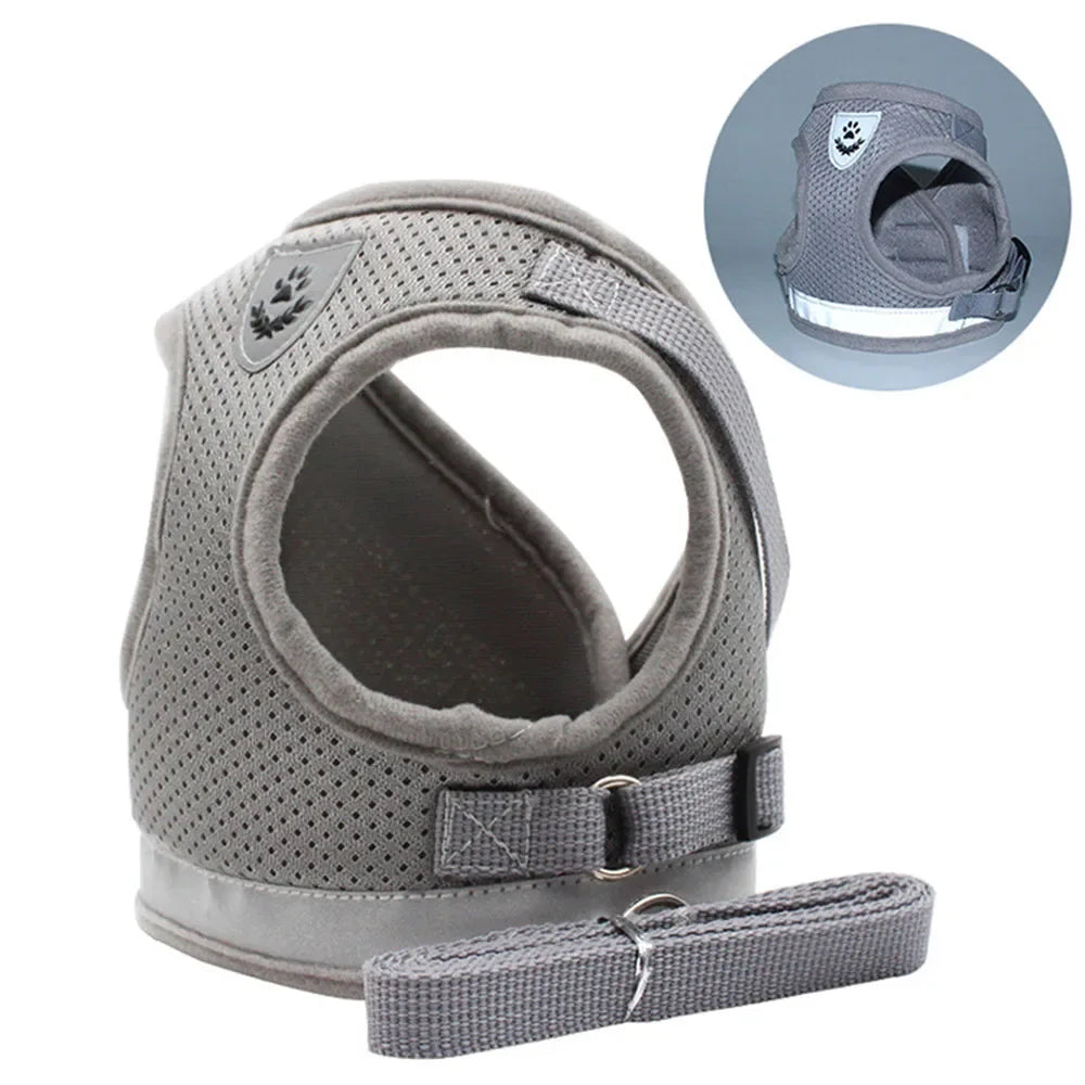 Arnés de Malla con Correa para Gatos y Perros Pequeños — Reflectante, Ajustable, Antipérdida, Tallas XS–XL
