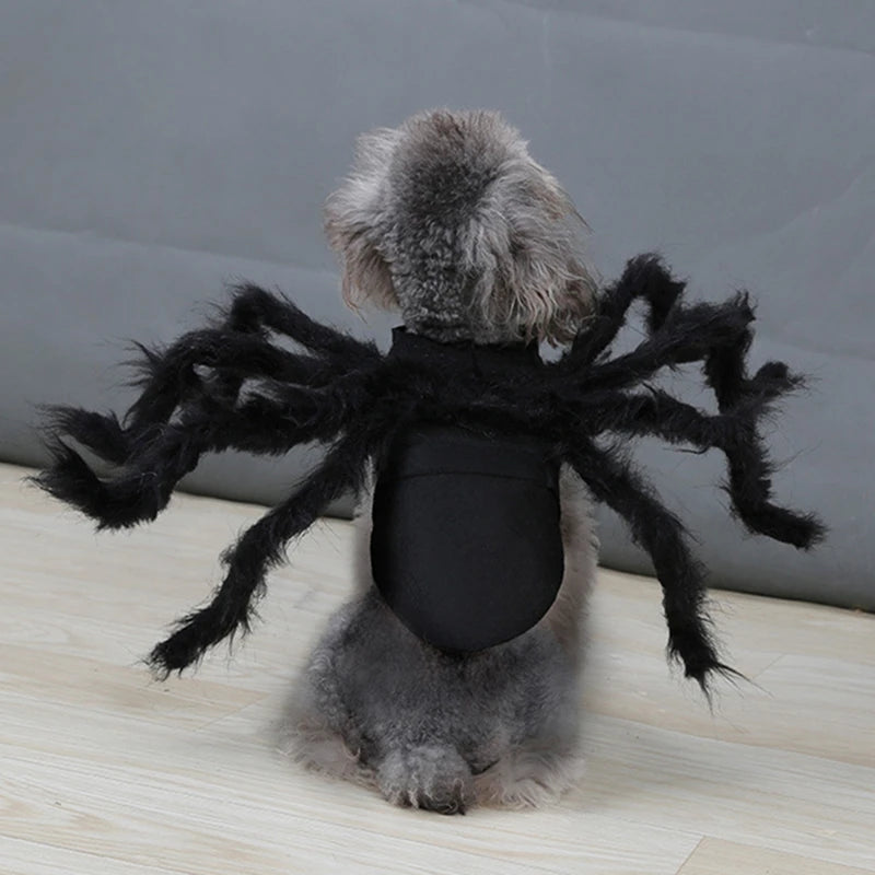 Disfraz de Araña para Perros y Gatos – Cosplay Divertido para Halloween y Fiestas | Tallas S y M