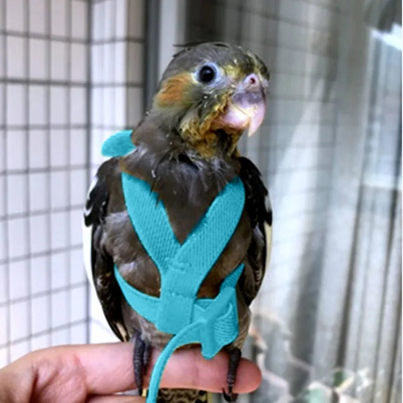 Arnés y Correa Ajustable para Pájaros — Loros, Periquitos y Cotorras