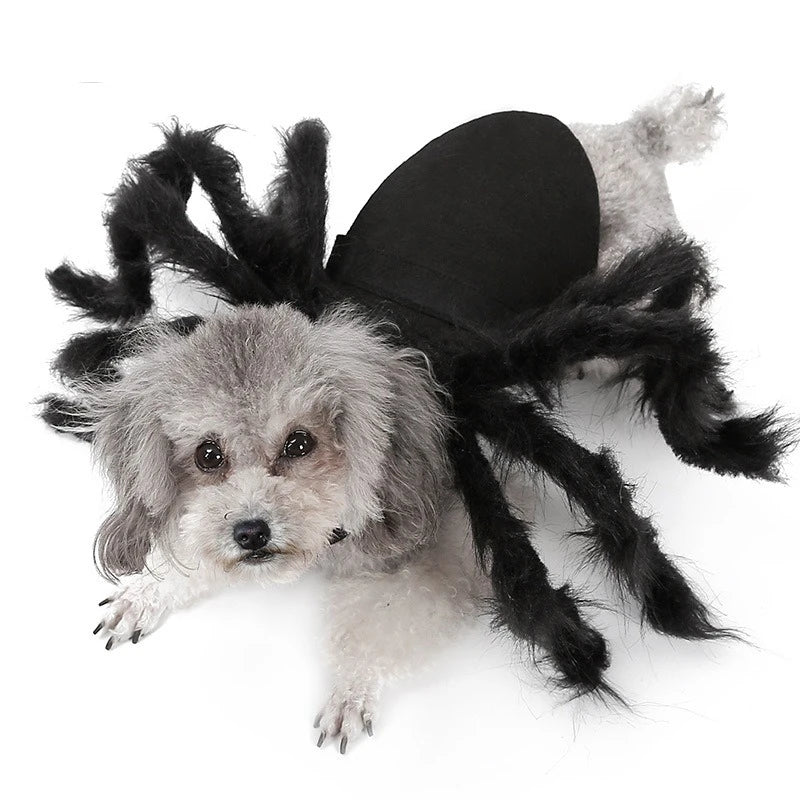 Disfraz de Araña para Perros y Gatos – Cosplay Divertido para Halloween y Fiestas | Tallas S y M