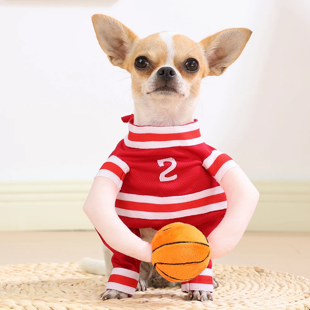 Disfraz de Camiseta de Baloncesto para Perros y Gatos – Transpirable y Ajustable | Tallas XS a XL