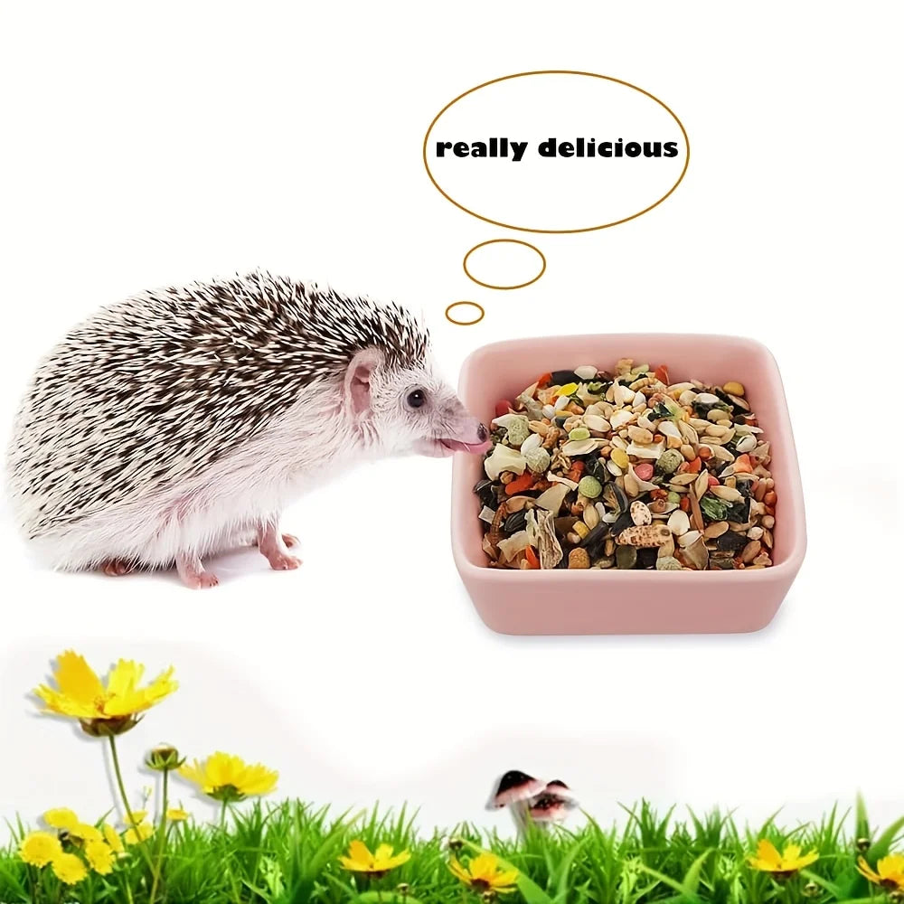 Plato de Cerámica para Pequeños Animales – Hámsters, Conejos, Chinchillas y Más