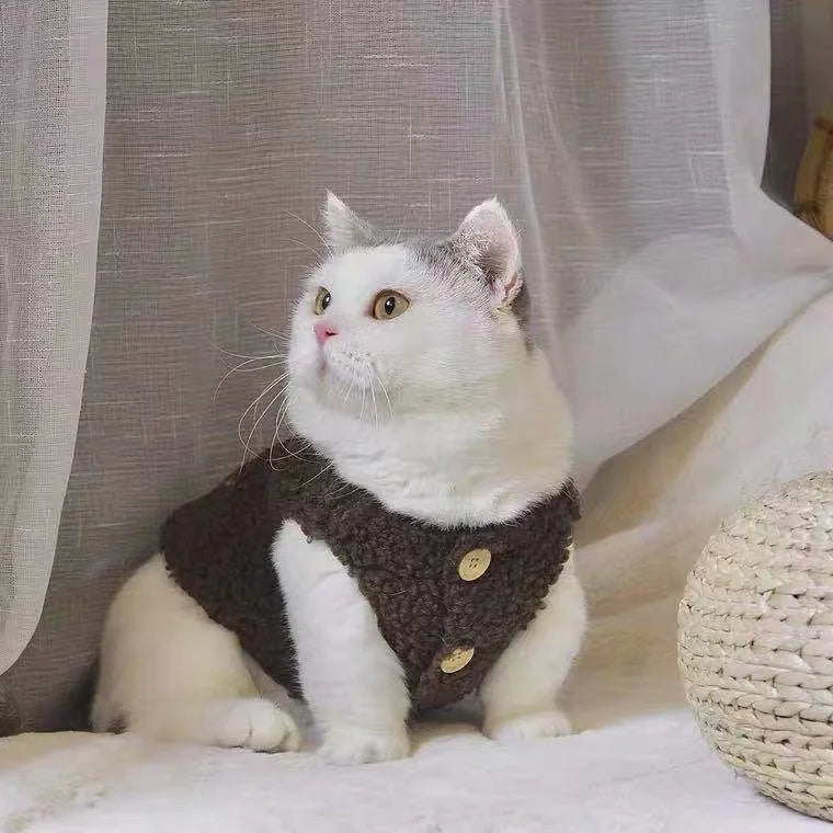 Chaleco de Lana de Cordero para Gatos – Cálido y Suave | Otoño-Invierno