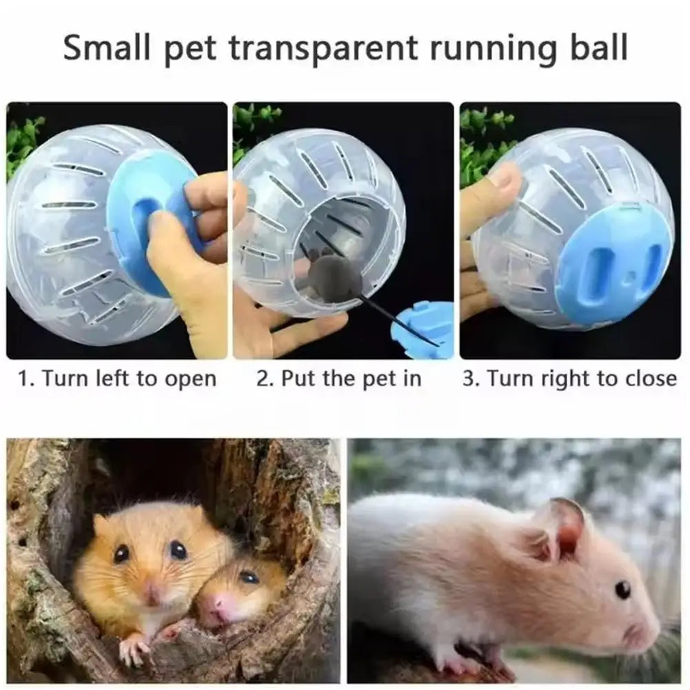 Bola de Ejercicio para Hámsters y Roedores Pequeños - Plástico Seguro 10 cm