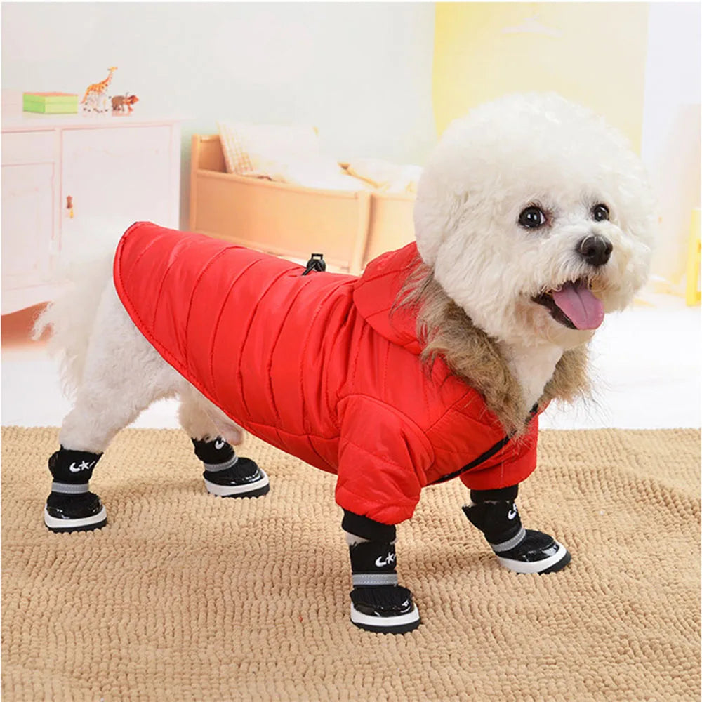 Dog Coat Small Dog Jacket Windproof Warm Padded Down Hoodie Snowsuit Fashion Winter Dog Clothes for Cat Puppy Chihuahua Yorkie