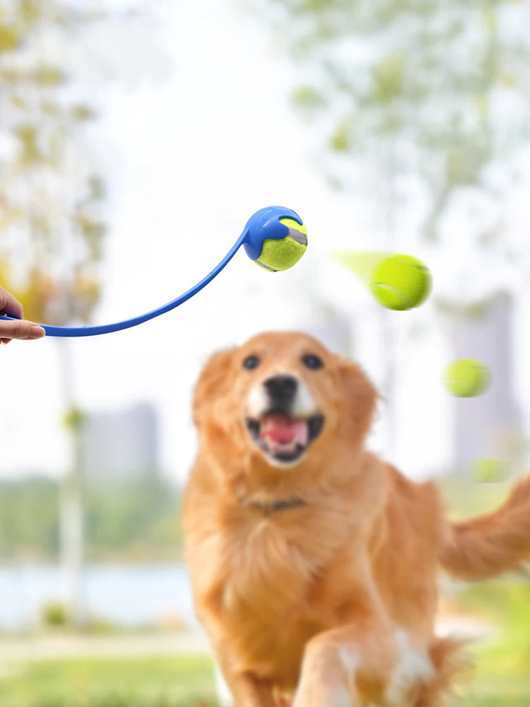 Lanzador de Pelotas para Perros y Gatos - Juego Interactivo de Buscar y Traer