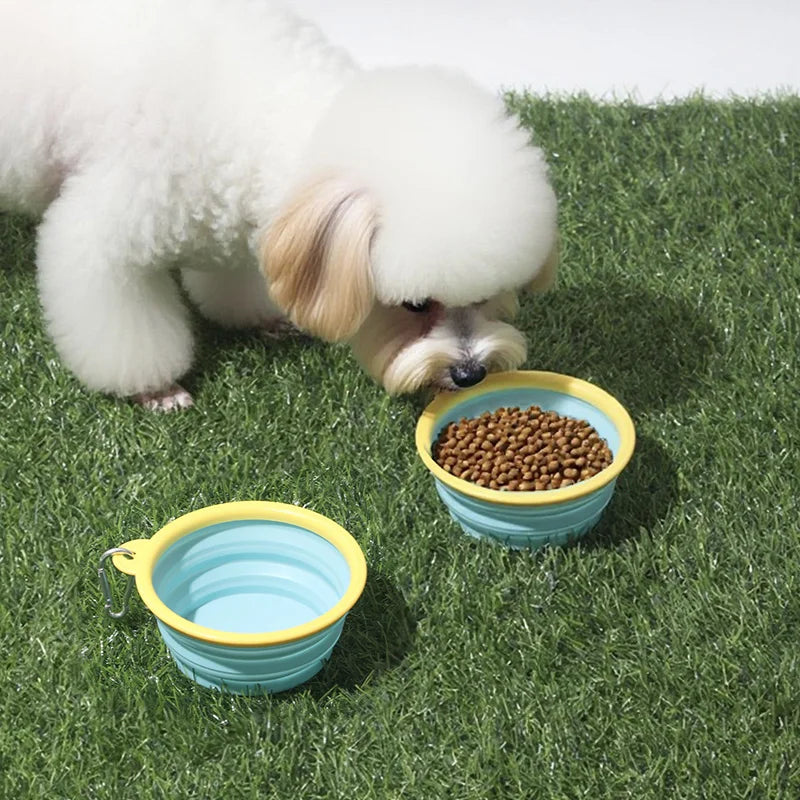 Cuenco Plegable Portátil 350 ml para Perros y Gatos – Diseños con Motivos de Mascota