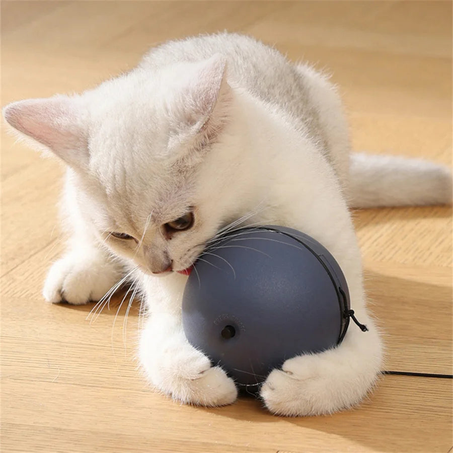 Pelota Interactiva Automática para Gatos con Ratón
