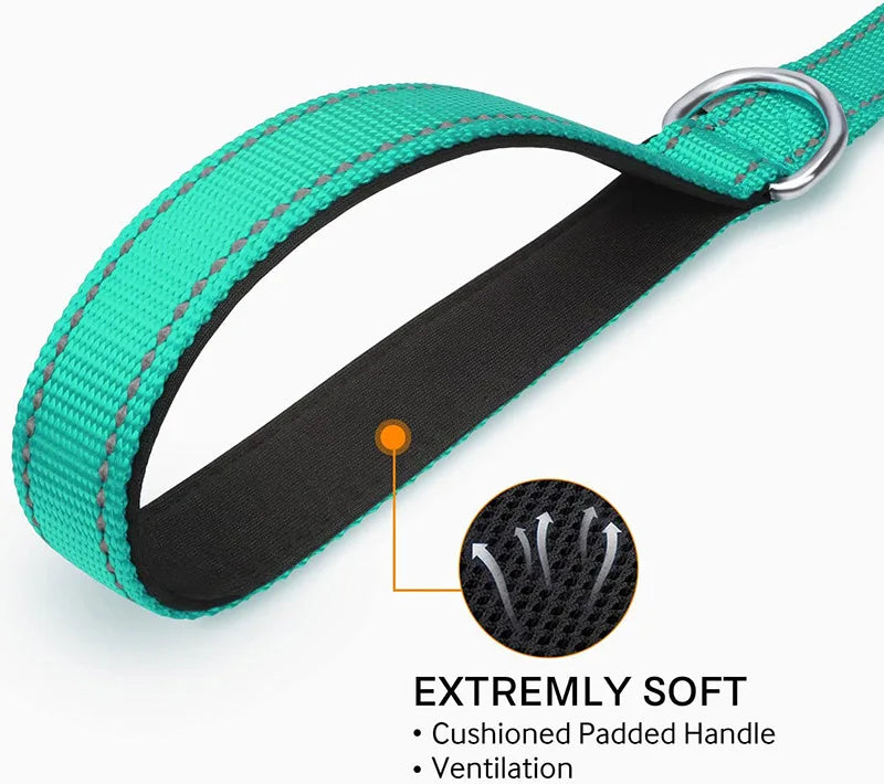 Correa Reflectante para Perros y Gatos — Paseo Nocturno, Varios Colores y Longitudes