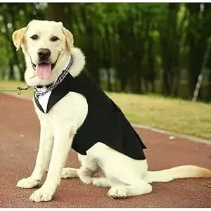Esmoquin de Gala para Perros con Pajarita Desmontable – Traje para Bodas y Fiestas | Tallas S a XXL