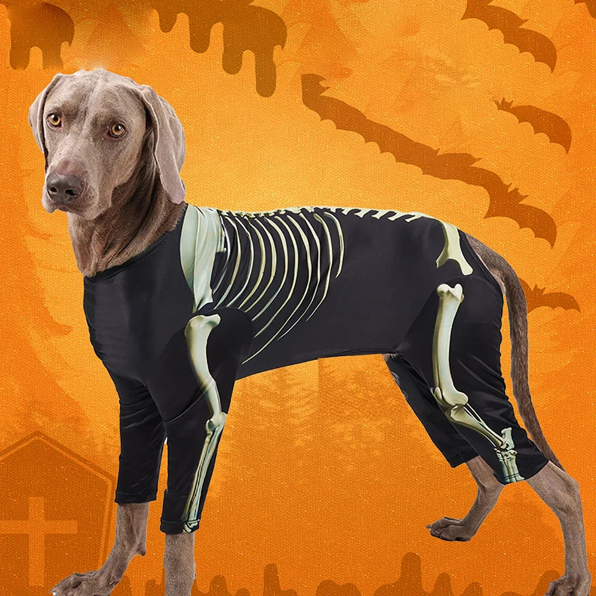 Disfraz de Esqueleto para Perros | Tallas S a XXXL