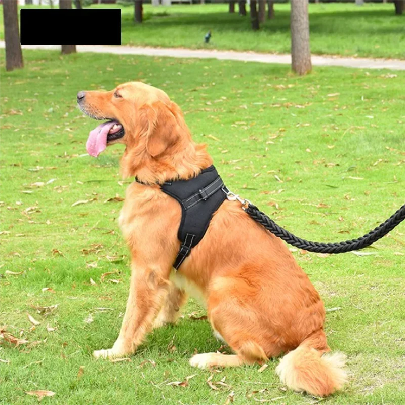 Arnés Tipo Sillín Ajustable para Perro con Correa Reflectante de 150 cm