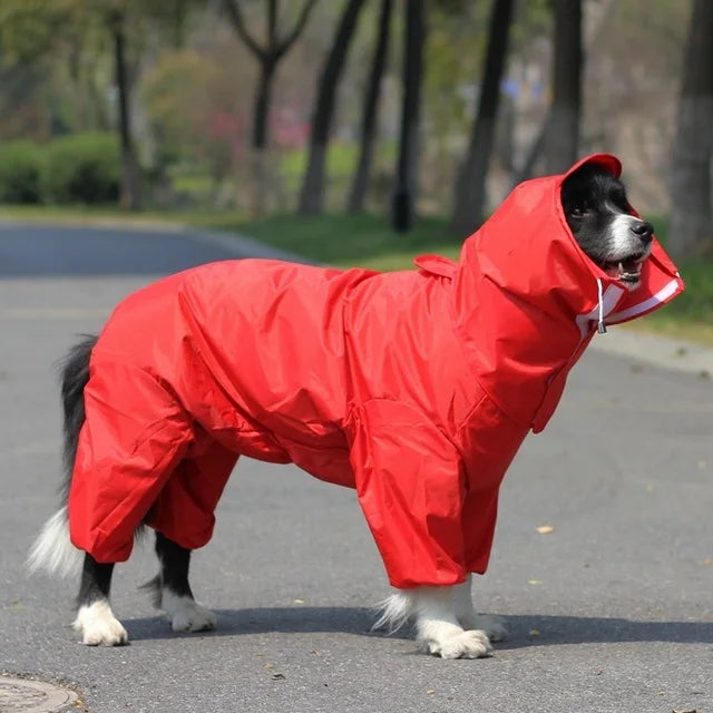 Chubasquero Impermeable con Capucha para Perros – Razas Medianas y Grandes | Tallas 12 a 30