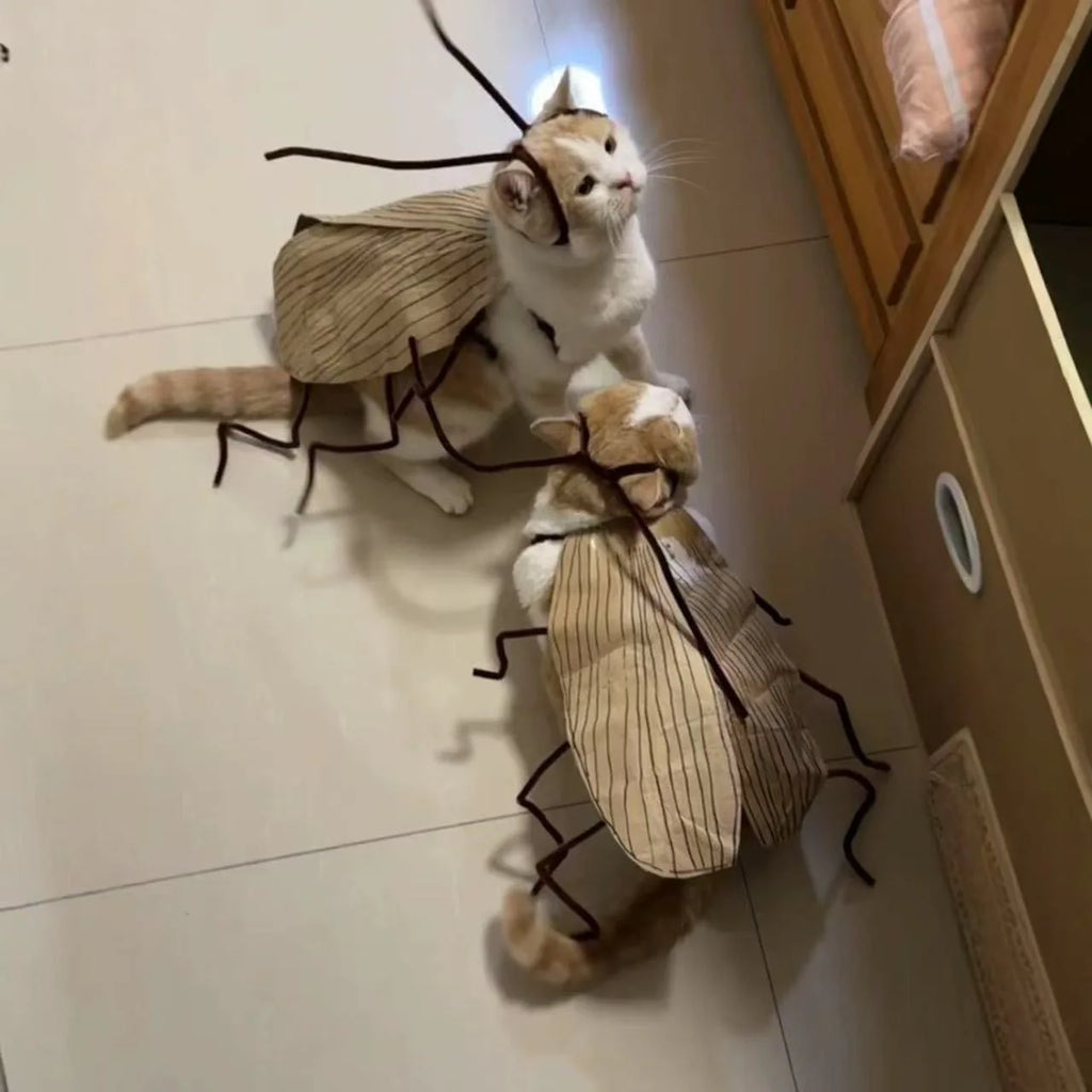 Disfraz DIY de Cucaracha para Gatos – Cosplay Divertido para Halloween y Fiestas | Talla Única