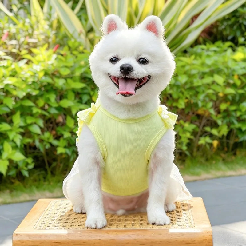 Vestido Floral de Tirantes para Perros Pequeños – Ropa de Primavera y Verano Estilo Princesa | Tallas XS a XXL