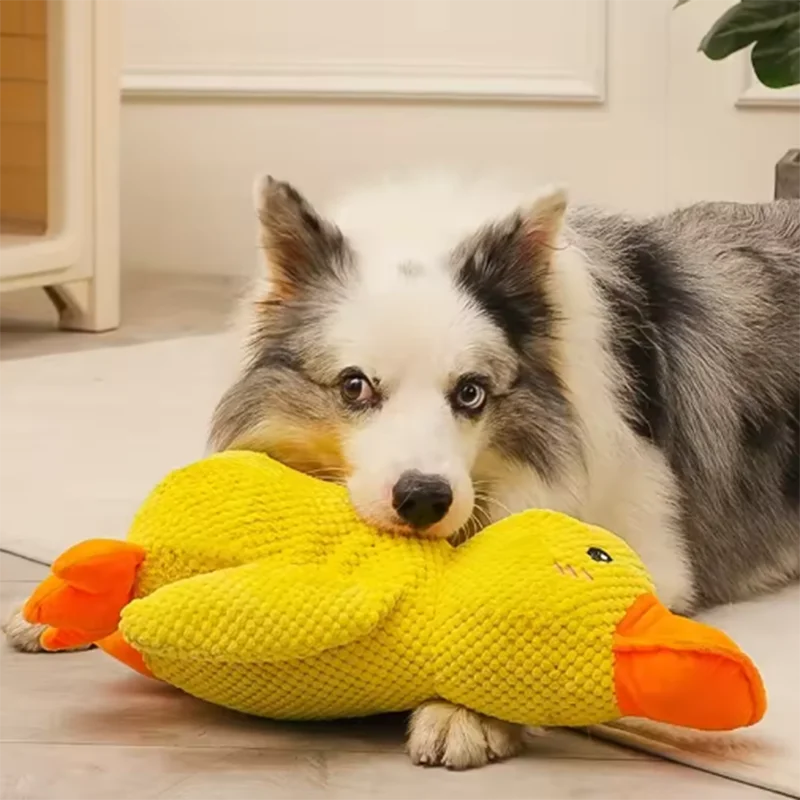 Pato de Peluche con Sonido para Perros - Resistente a Mordiscos para Razas Pequeñas y Grandes