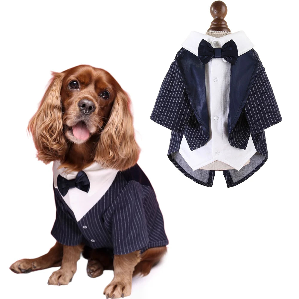 Camisa Formal de Caballero con Corbata para Perros y Gatos – Traje Novio para Bodas | Tallas S a XL