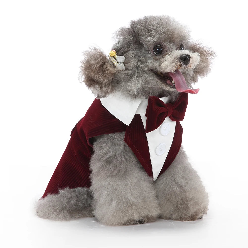 Esmoquin Formal con Pajarita para Perros y Gatos – Traje Elegante para Bodas, Halloween y Fiestas | Tallas XS a XL