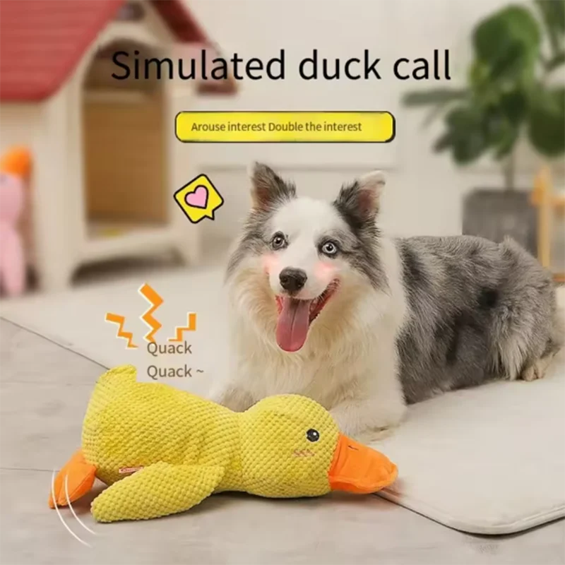 Pato de Peluche con Sonido para Perros - Resistente a Mordiscos para Razas Pequeñas y Grandes