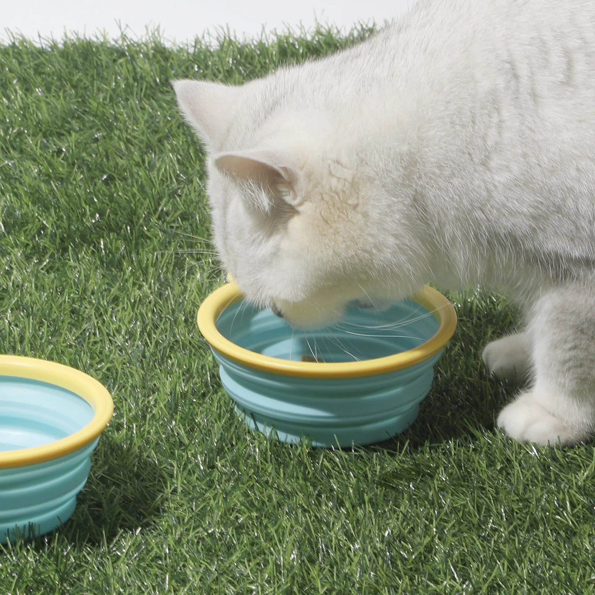 Cuenco Plegable Portátil 350 ml para Perros y Gatos – Diseños con Motivos de Mascota