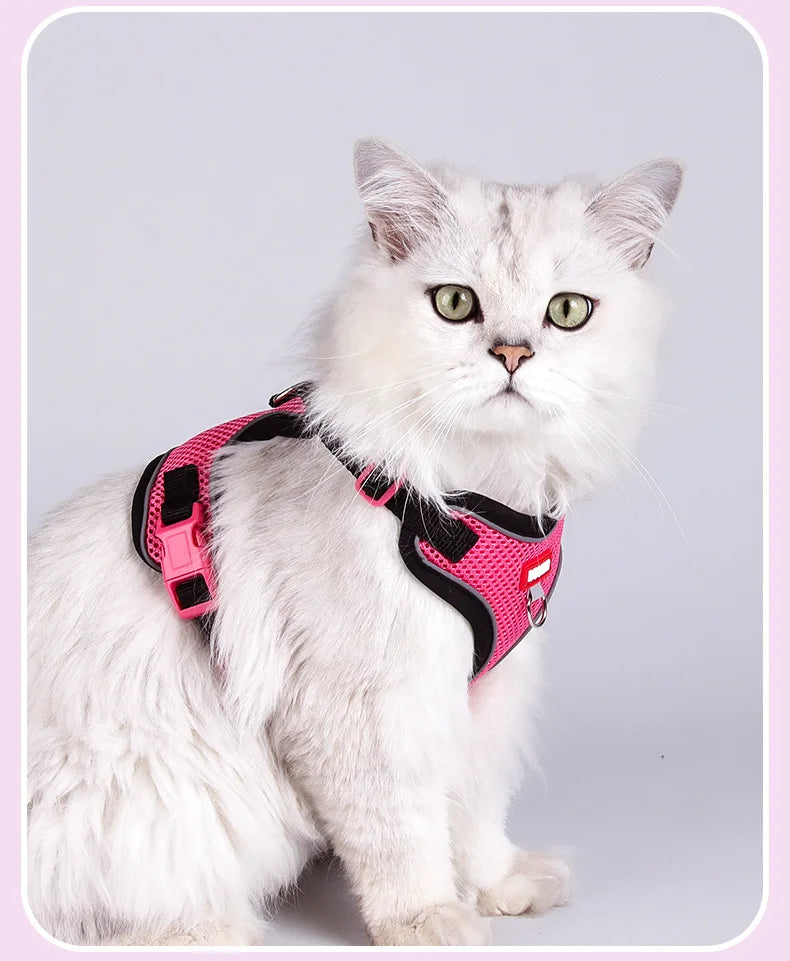 Arnés de Malla Transpirable con Correa Extensible para Gatos y Perros — Reflectante, Antipérdida, Tallas S–XL