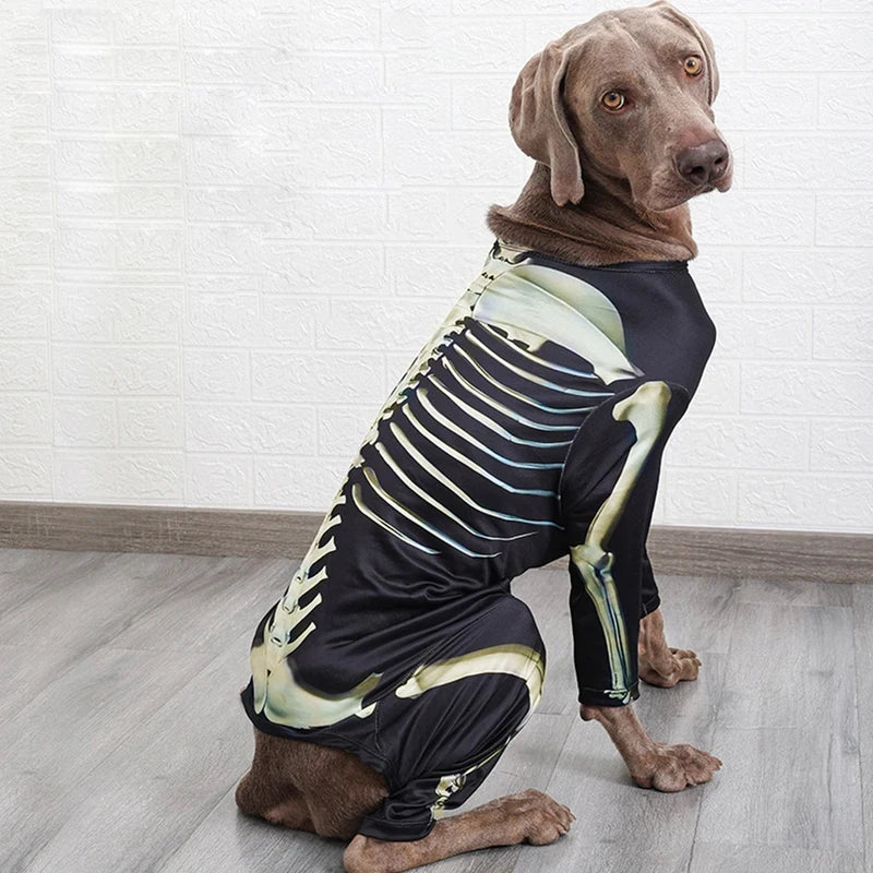 Disfraz de Esqueleto para Perros | Tallas S a XXXL