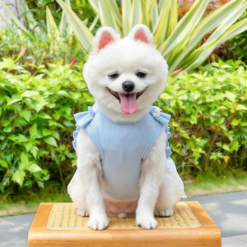 Vestido Floral de Tirantes para Perros Pequeños – Ropa de Primavera y Verano Estilo Princesa | Tallas XS a XXL