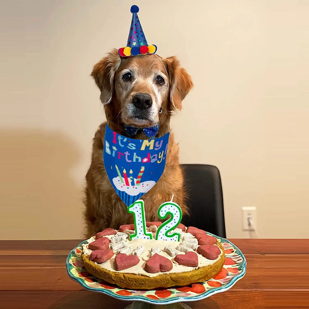Set de Cumpleaños para Perros y Gatos | Bandana, Gorro y Pajarita