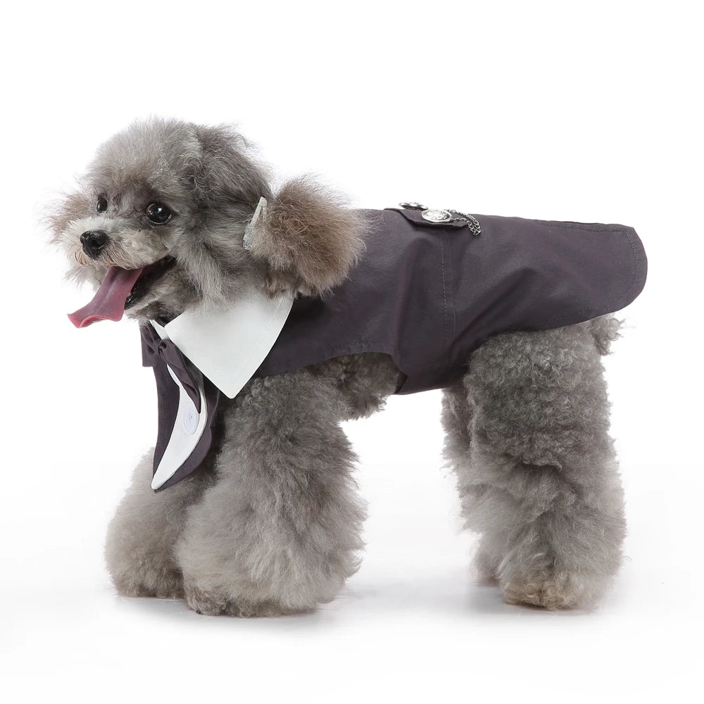 Esmoquin Formal con Pajarita para Perros y Gatos – Traje Elegante para Bodas, Halloween y Fiestas | Tallas XS a XL