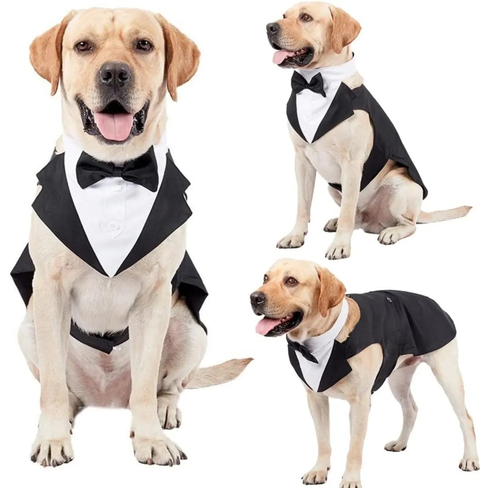 Esmoquin de Gala para Perros con Pajarita Desmontable – Traje para Bodas y Fiestas | Tallas S a XXL