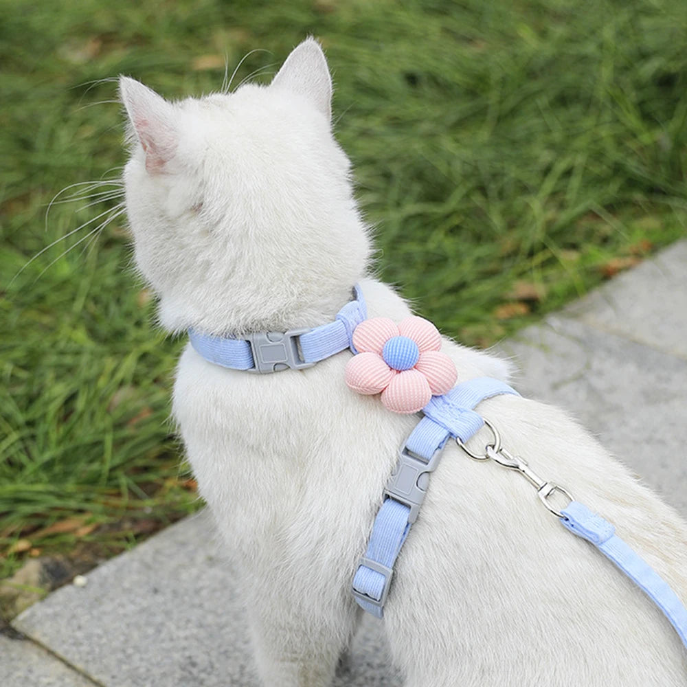 Arnés Ajustable con Correa para Perros y Gatos Pequeños — Transpirable, Tallas S y M