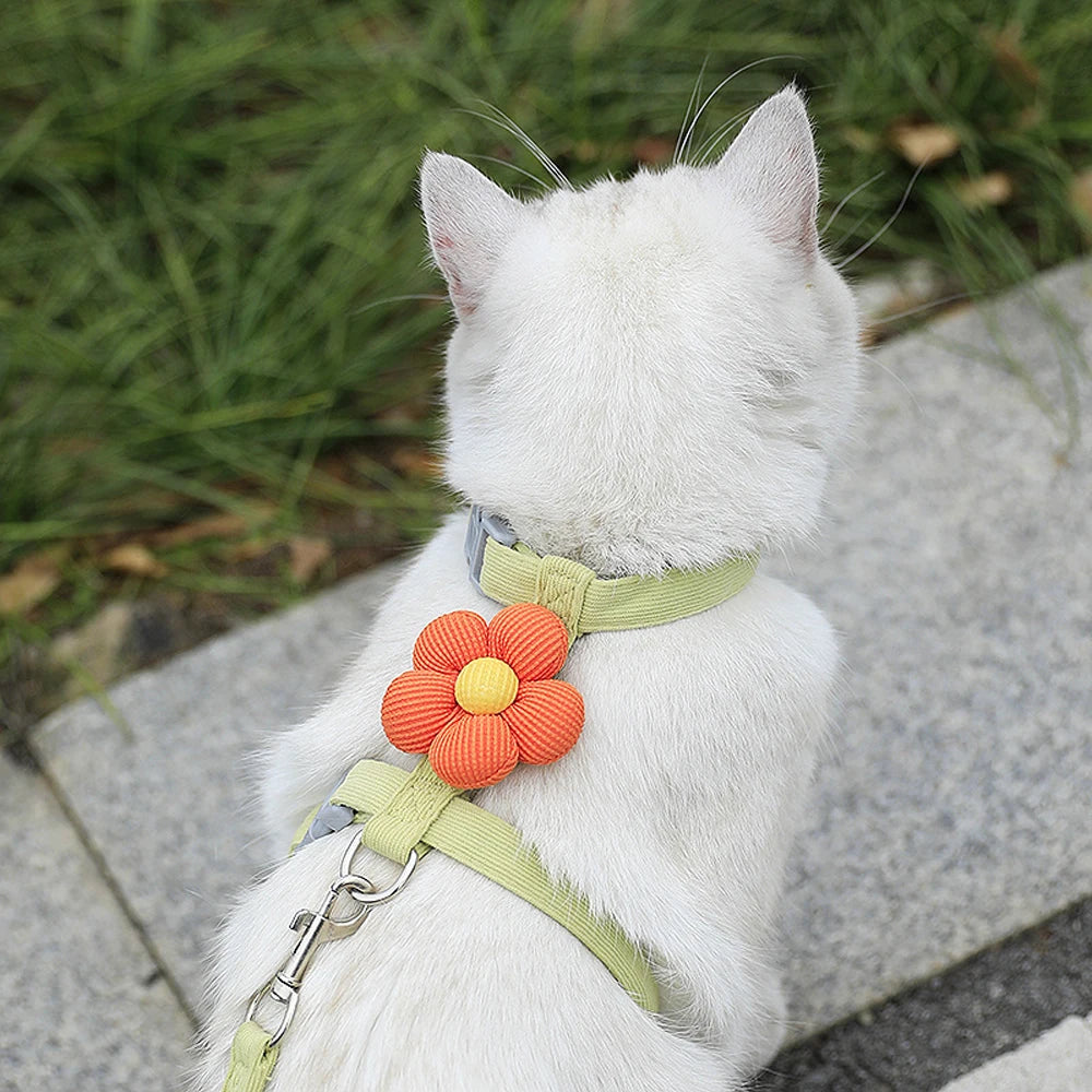 Arnés Ajustable con Correa para Perros y Gatos Pequeños — Transpirable, Tallas S y M