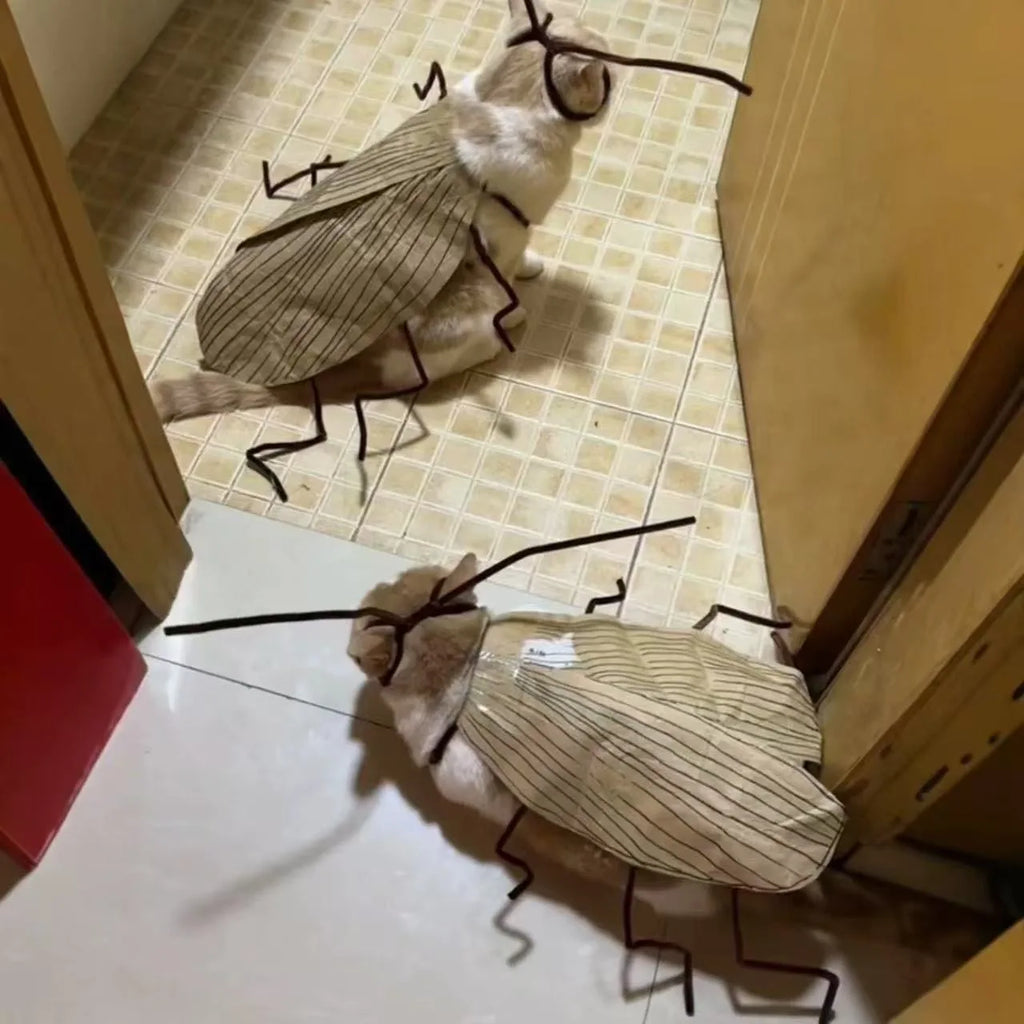 Disfraz DIY de Cucaracha para Gatos – Cosplay Divertido para Halloween y Fiestas | Talla Única