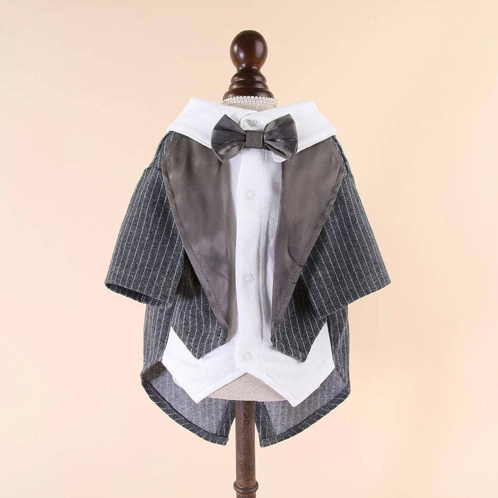Camisa Formal de Caballero con Corbata para Perros y Gatos – Traje Novio para Bodas | Tallas S a XL