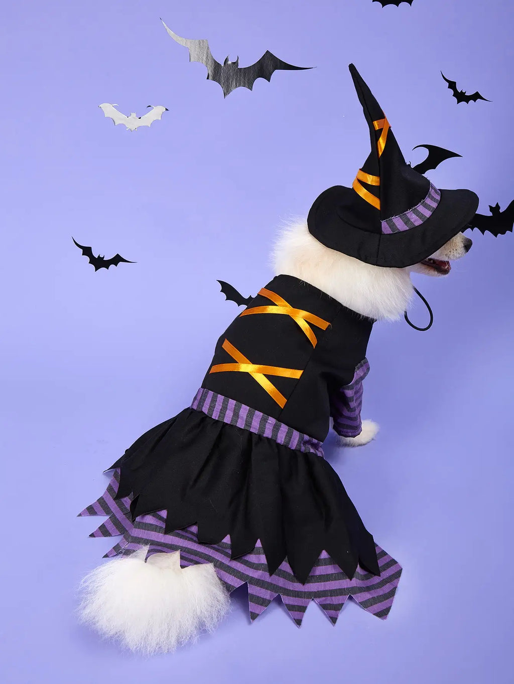 Disfraz de Halloween Ajustable para Perros y Gatos – Cosplay Divertido | Tallas S a XL