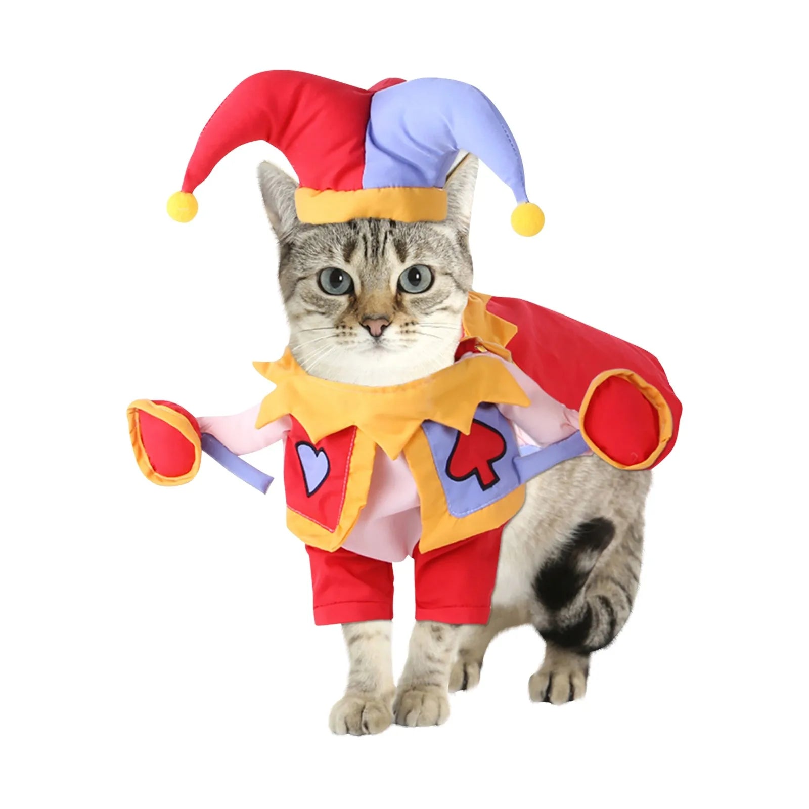 Disfraz de Payaso con Sombrero para Perros y Gatos – Cosplay Divertido para Halloween y Fiestas | Tallas S a XL