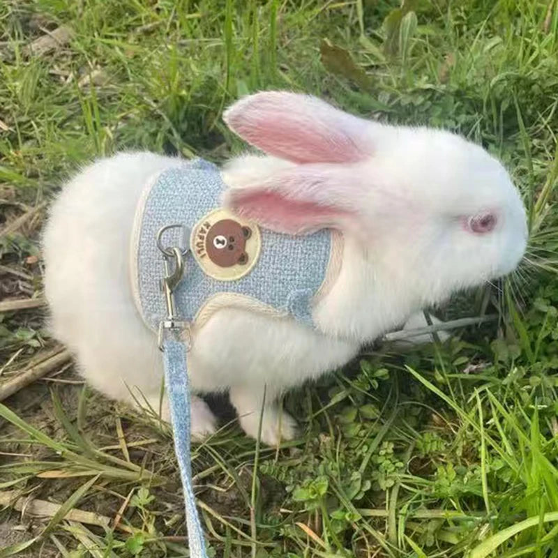 Arnés Chaleco con Correa para Conejos y Gatos — Acolchado y Ajustable
