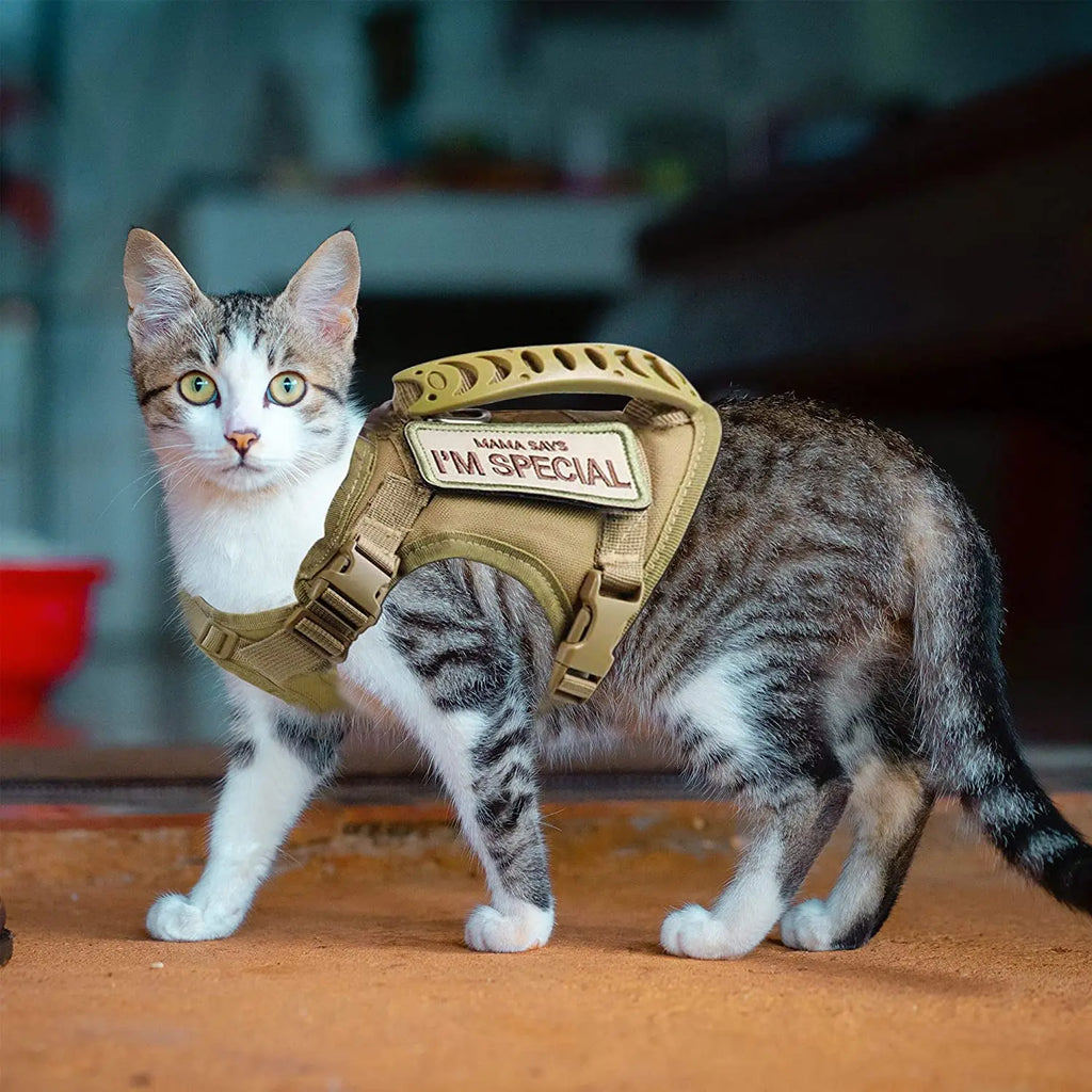 Arnés Táctico Antipérdida para Gatos y Perros Pequeños — Chaleco con Cojín de Aire, Asa de Control, Talla Única Ajustable