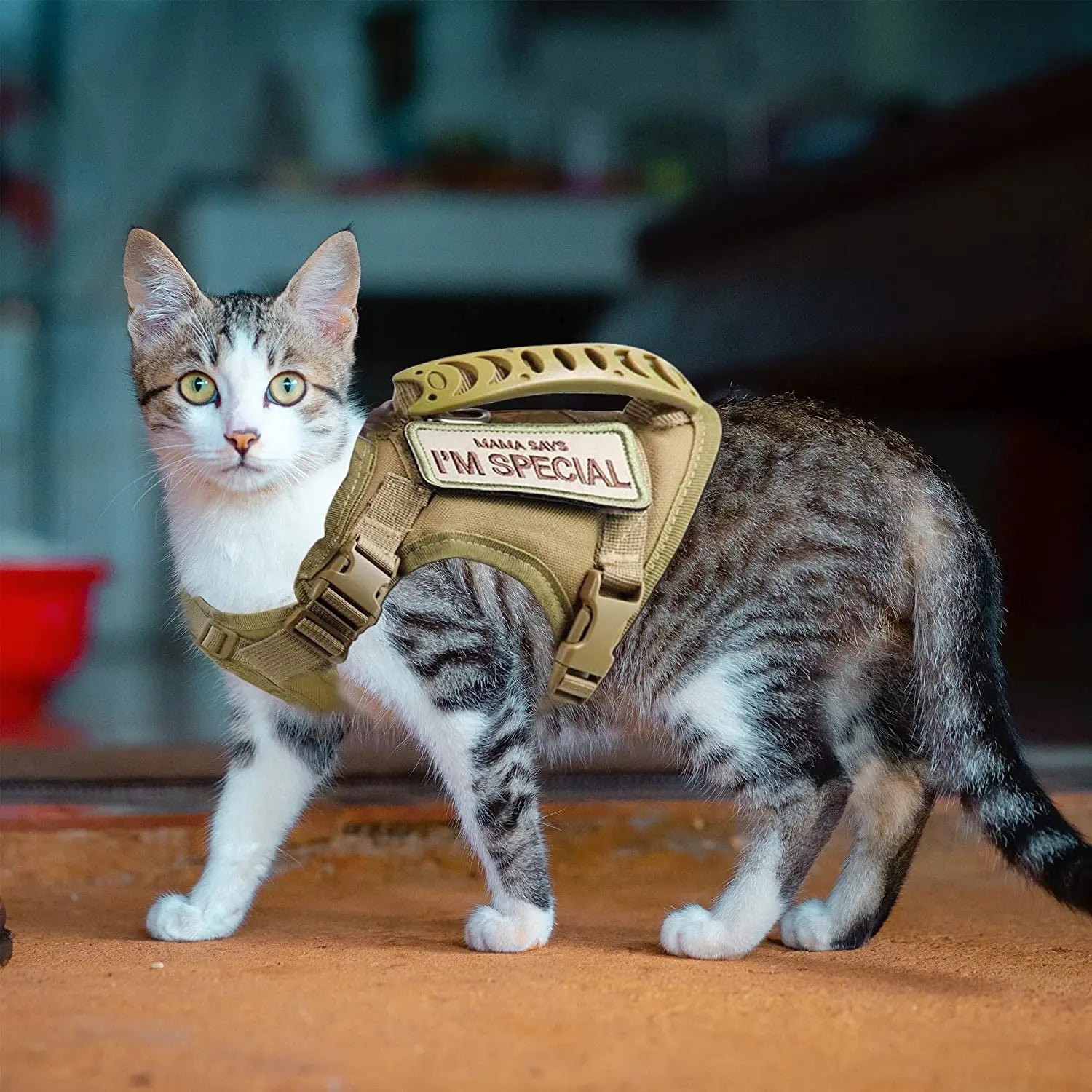Arnés Táctico Antipérdida para Gatos y Perros Pequeños — Chaleco con Cojín de Aire, Asa de Control, Talla Única Ajustable