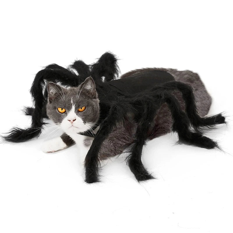 Disfraz de Araña para Perros y Gatos – Cosplay Divertido para Halloween y Fiestas | Tallas S y M