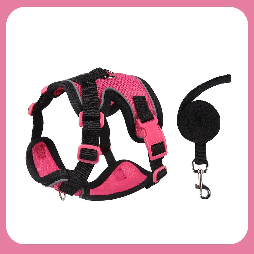 Arnés de Malla Transpirable con Correa Extensible para Gatos y Perros — Reflectante, Antipérdida, Tallas S–XL
