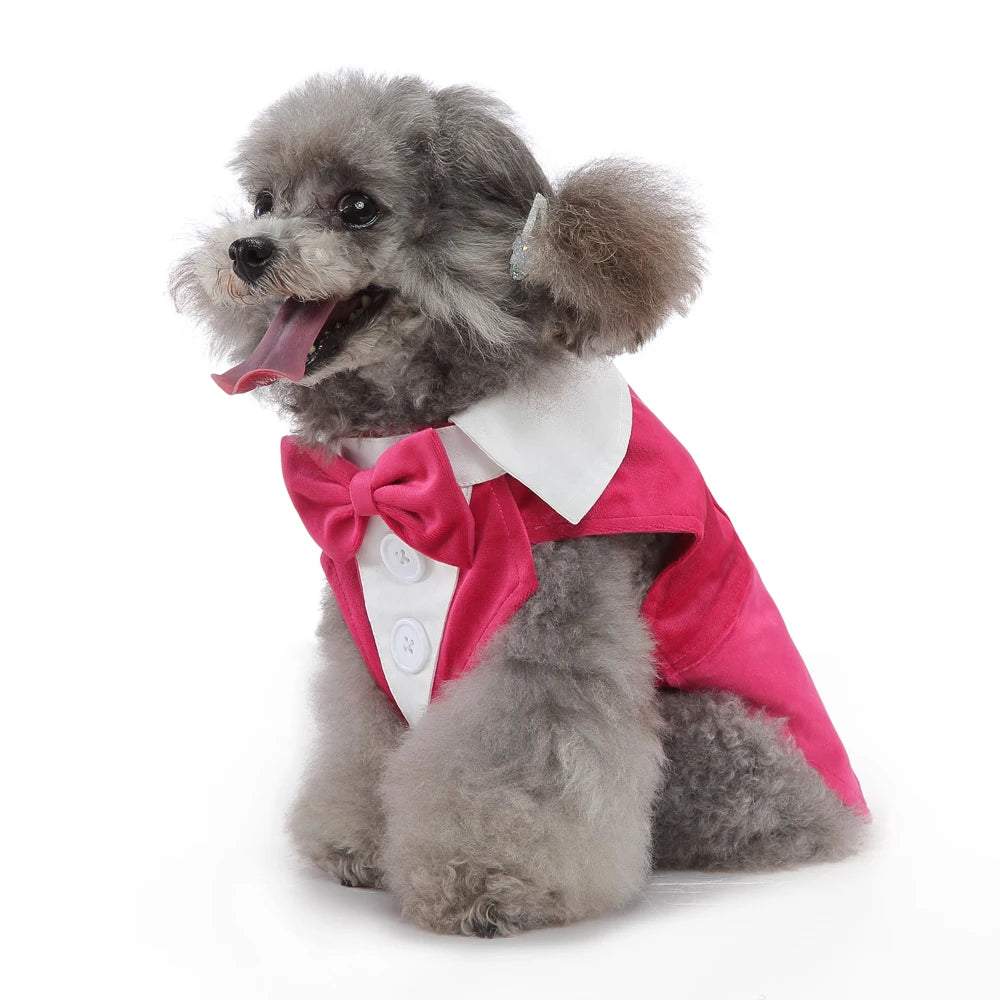 Esmoquin Formal con Pajarita para Perros y Gatos – Traje Elegante para Bodas, Halloween y Fiestas | Tallas XS a XL