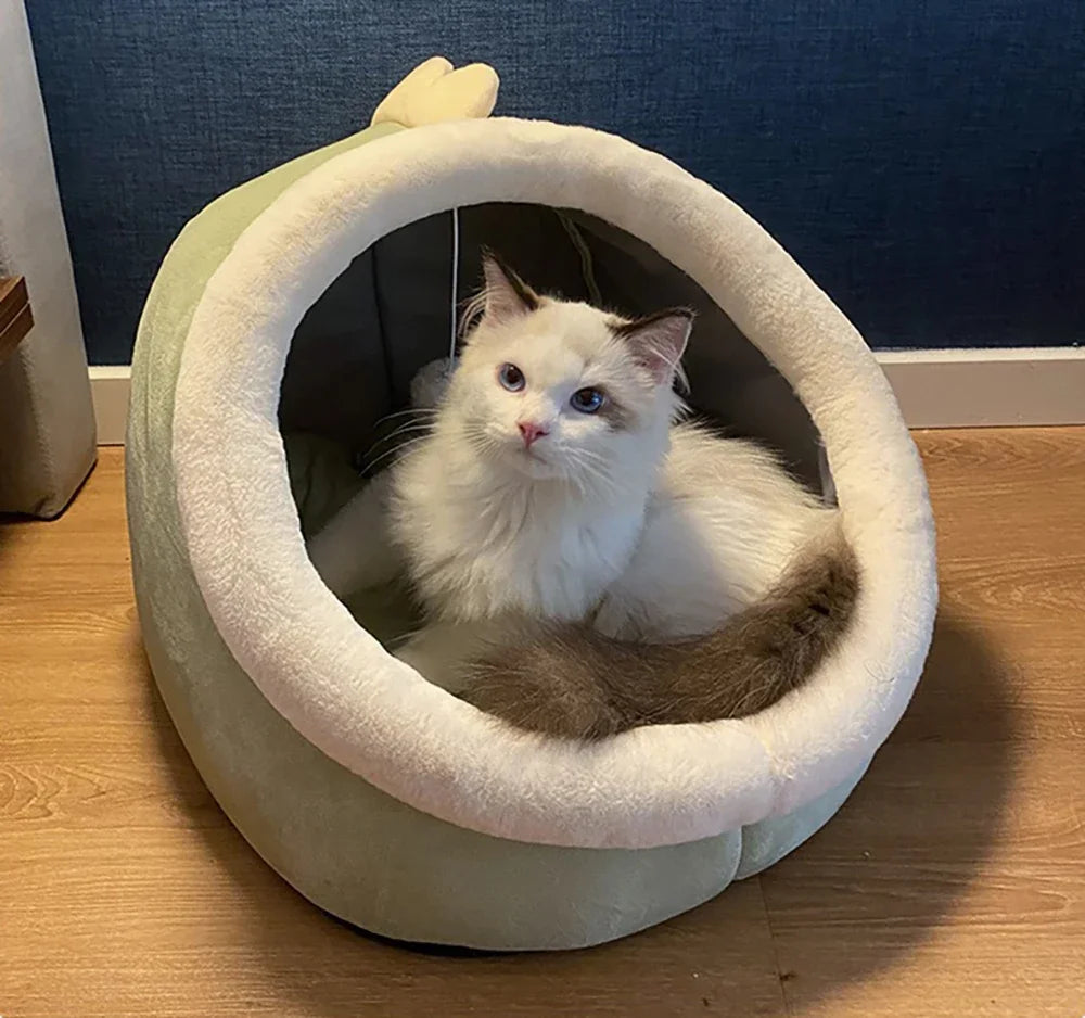 Cama-Casita con Orejas para Gatos | Cojín Extraíble | S, M y L