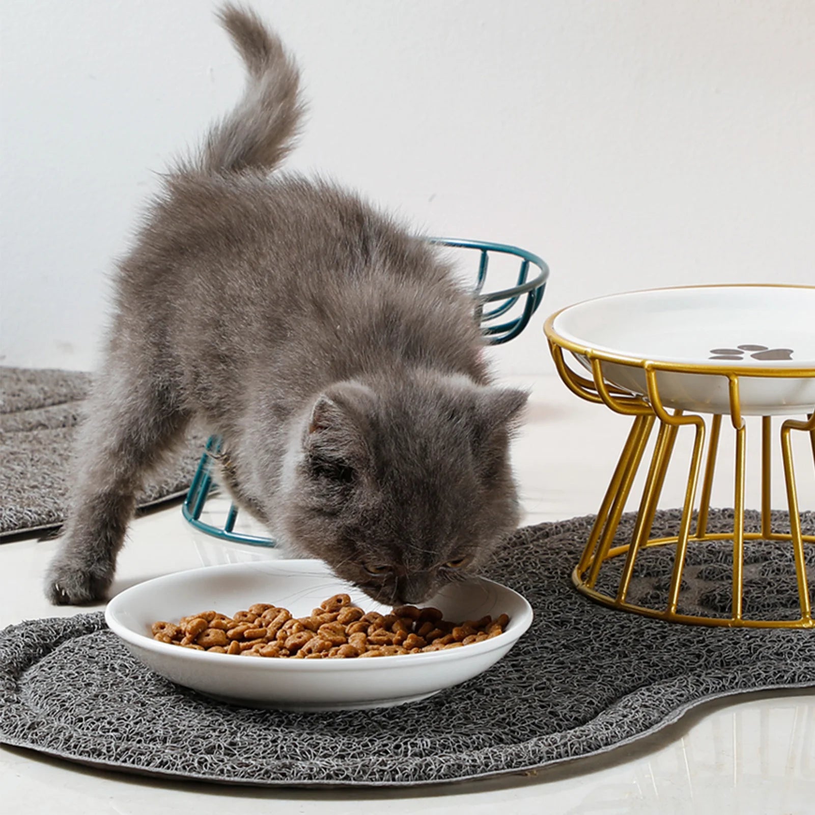 Cuencos de Cerámica Elevados para Gatos y Perros con Soporte Metálico