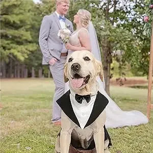 Esmoquin de Gala para Perros con Pajarita Desmontable – Traje para Bodas y Fiestas | Tallas S a XXL