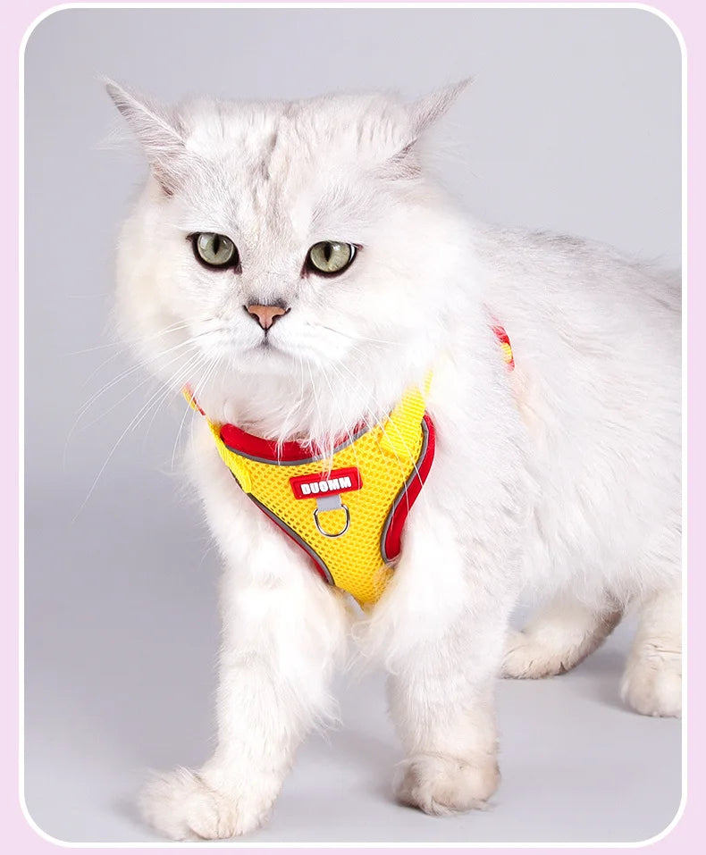 Arnés de Malla Transpirable con Correa Extensible para Gatos y Perros — Reflectante, Antipérdida, Tallas S–XL