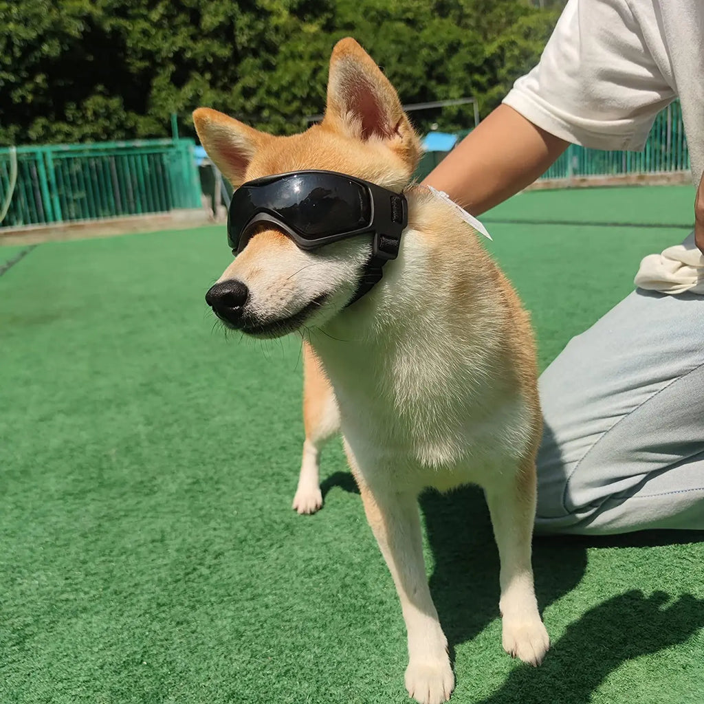 Gafas de Sol UV para Perros – Pequeñas y Medianas Razas