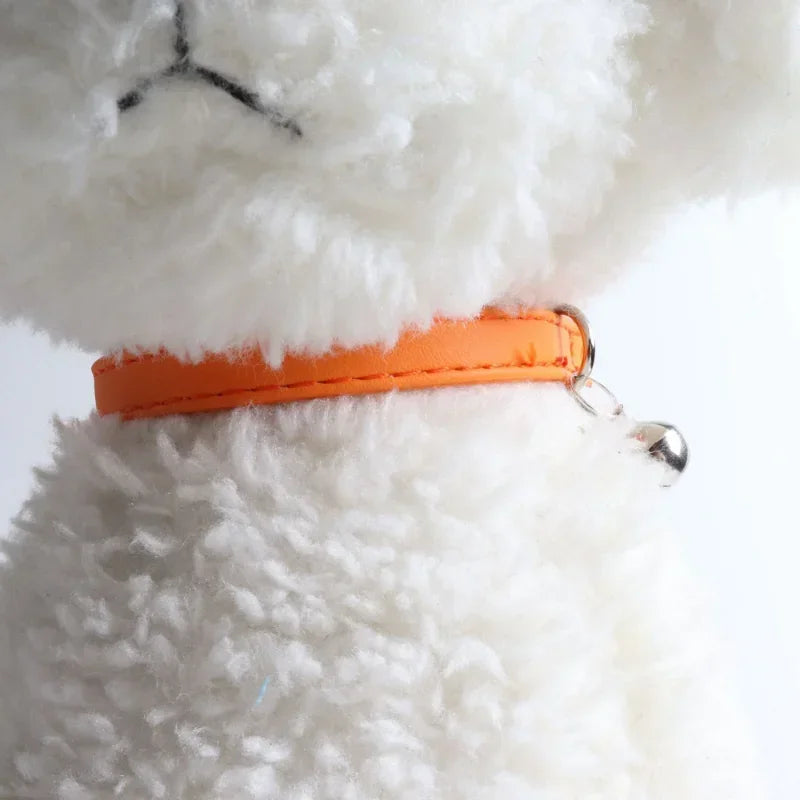 Collar Elástico con Cascabel para Gatos y Cachorros — Colores Macaron, Ajustable