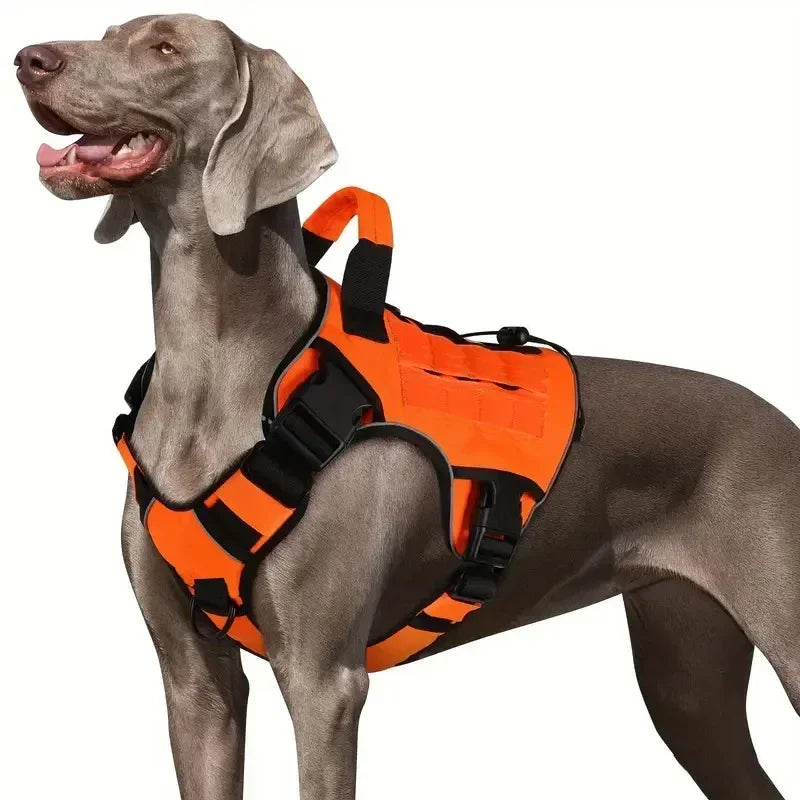 Chaleco Exterior Antisalpicaduras para Perro con Asa — Tallas S a XL