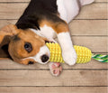 Juguete Masticable para Perros Masticadores - Mazorca de TPR Resistente con o sin Sonido